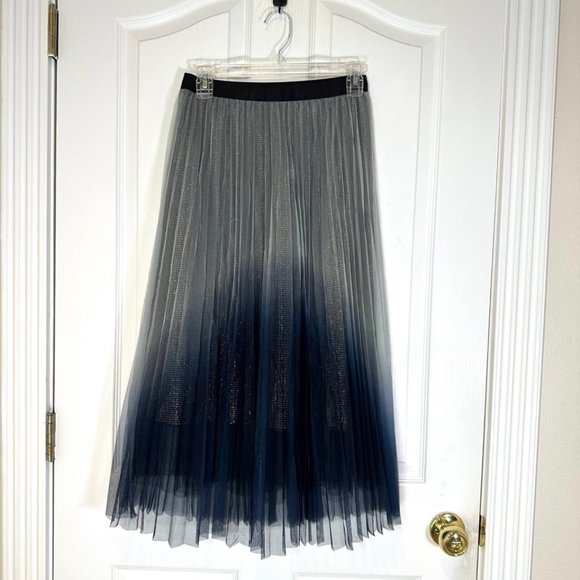 Ombre Pleated Layered Tulle Midi Skirt - Picture 1 of 10